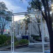 ヒメ日記 2026/10/15 17:15 投稿 美月 もえ ハレ系 福岡DEまっとる。＆ひよこ治療院