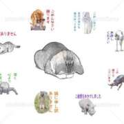 ヒメ日記 2026/07/14 09:14 投稿 ひかる 妻天 京橋店