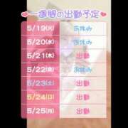ヒメ日記 2026/05/19 19:02 投稿 しゅりか 桃李（とうり）
