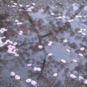 ヒメ日記 2026/06/20 08:03 投稿 進藤こはる サクラ（すすきの）