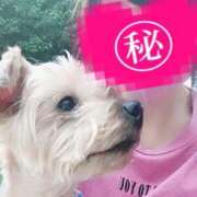 今岡あいみ ⋯スッキリ♪⋯ 月の真珠-五反田-