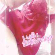 ヒメ日記 2026/08/07 09:10 投稿 今岡あいみ 月の真珠-五反田-