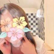 ヒメ日記 2026/07/20 11:20 投稿 あおい あとりえ(ATELIER)