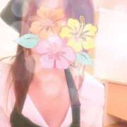 ヒメ日記 2026/08/24 11:15 投稿 あおい あとりえ(ATELIER)