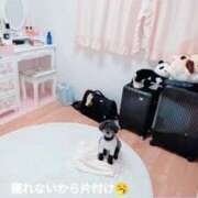 ヒメ日記 2026/05/25 21:15 投稿 高松 ひめ 人妻セレブ宮殿