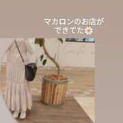 ヒメ日記 2026/05/30 14:15 投稿 高松 ひめ 人妻セレブ宮殿