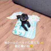 ヒメ日記 2026/06/02 10:33 投稿 高松 ひめ 人妻セレブ宮殿