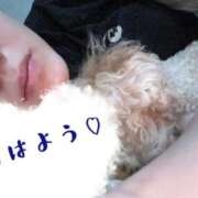 ヒメ日記 2026/05/24 10:50 投稿 みらい シャロン横浜
