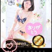 ヒメ日記 2026/07/01 07:15 投稿 みらい シャロン横浜