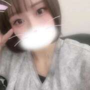ヒメ日記 2026/09/02 01:19 投稿 せいら　一度逢えばわかる良い女 CELEB FACE NAKASU