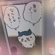 ヒメ日記 2026/09/20 11:24 投稿 しおん 千葉北インターちゃんこ