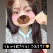 ヒメ日記 2026/05/20 09:59 投稿 まゆ　清楚系幼妻 CELEB FACE NAKASU