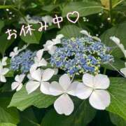 ヒメ日記 2026/05/29 19:23 投稿 よしの 横浜人妻セレブリティ（ユメオト）