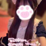 ヒメ日記 2026/05/28 19:06 投稿 まりん 2980円（にゃんきゅっぱ）