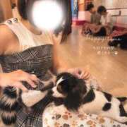 ヒメ日記 2026/08/11 11:57 投稿 あのん スピードエコ京橋店