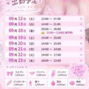 ヒメ日記 2026/09/11 20:50 投稿 あのん スピードエコ京橋店