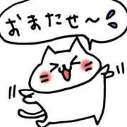 ヒメ日記 2026/07/14 07:28 投稿 なのか 福岡ちゃんこ大牟田店