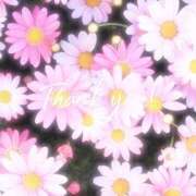 ヒメ日記 2026/06/07 11:01 投稿 寺島まひる ABC 岩手ソープ