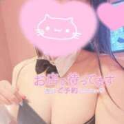 ヒメ日記 2026/07/26 10:30 投稿 れい 和楽(わらく)