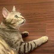 ヒメ日記 2026/07/16 14:30 投稿 ヒビキ OLの品格 クラブアッシュ
