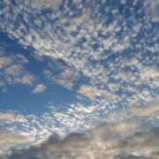 ヒメ日記 2026/08/21 06:57 投稿 小泉 HERMINE-エルミネ-