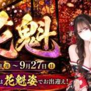 ヒメ日記 2026/09/10 19:41 投稿 みゆ チェリーデイズ新宿店