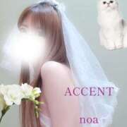 ヒメ日記 2026/06/19 00:23 投稿 体験のあ ACCENT[アクセントグループ]