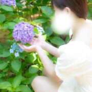 ヒメ日記 2026/06/09 07:02 投稿 遥香【ハルカ】 輝女