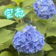 ヒメ日記 2026/06/09 13:56 投稿 ゆい 吉祥寺角海老