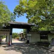 ヒメ日記 2026/06/09 11:36 投稿 高嶋　はる しこたま奥様 札幌店