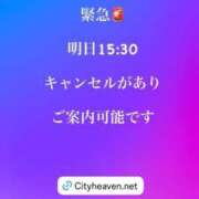 ヒメ日記 2026/07/05 16:51 投稿 珠緒さくら プレジデントクラブ