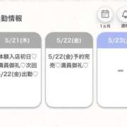 ヒメ日記 2026/05/22 11:09 投稿 せりな★SS級華蓮な極上美女★ Bell～S級美女お姉様・人妻デリヘル～