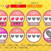 ヒメ日記 2026/10/09 18:26 投稿 いおり ぷるるんマダム 難波店