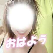 ヒメ日記 2026/07/23 09:07 投稿 みどり 沼津人妻花壇