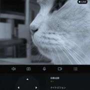 ヒメ日記 2026/08/18 15:34 投稿 うの 艶姫（つやひめ）