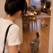 ヒメ日記 2026/09/01 19:04 投稿 うの 艶姫（つやひめ）