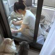 ヒメ日記 2026/09/03 12:06 投稿 うの 艶姫（つやひめ）