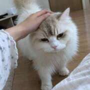 ヒメ日記 2026/09/05 10:16 投稿 うの 艶姫（つやひめ）