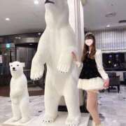 さらん シロクマさん🐻‍❄️💞 ナイトヴィーナス