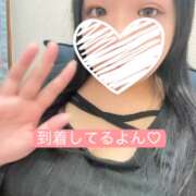 ヒメ日記 2026/06/20 11:17 投稿 うみ 千葉人妻花壇