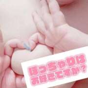 ヒメ日記 2026/05/20 06:02 投稿 ろろ 横浜・関内サンキュー