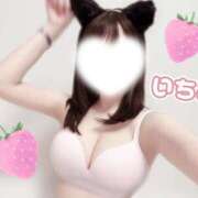 ヒメ日記 2026/06/09 17:10 投稿 いちご PLATINUM PHIL