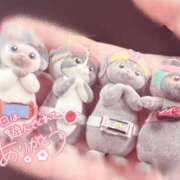 ヒメ日記 2026/06/12 01:03 投稿 いちご PLATINUM PHIL
