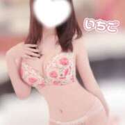 ヒメ日記 2026/06/12 07:00 投稿 いちご PLATINUM PHIL