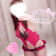 ヒメ日記 2026/10/14 12:10 投稿 いちご PLATINUM PHIL