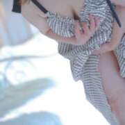 ヒメ日記 2026/07/07 09:40 投稿 いちの 千葉人妻花壇
