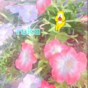 ヒメ日記 2026/07/11 19:08 投稿 るか 東京アロマスタイル