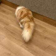 ヒメ日記 2026/06/07 23:24 投稿 れい 石川金沢ちゃんこ