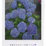 ヒメ日記 2026/06/09 13:16 投稿 Nanami Moment.(モーメント)