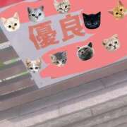 ヒメ日記 2026/07/08 23:59 投稿 優良(ゆら) エッチな熟女(広島)